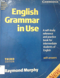 English Grammar in Use: A Self-Study Reference and Practice Book For Intermediate Students of English