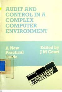 Audit and Control in A Complex Computer Environment