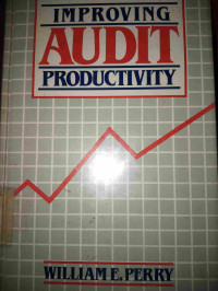 Improving Audit Productivity