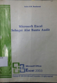 Image of Microsoft Excel Sebagai Alat Bantu Audit