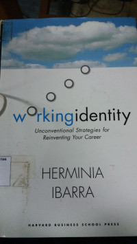 Image of Working Identity : Unconventional Strategies for Reinventing Your Career